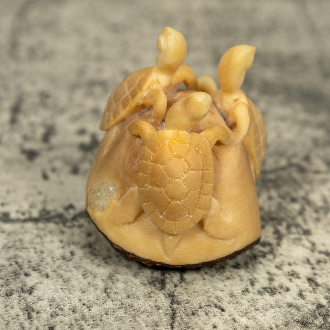 Natural White Triple Sea Turtle Tagua Carving