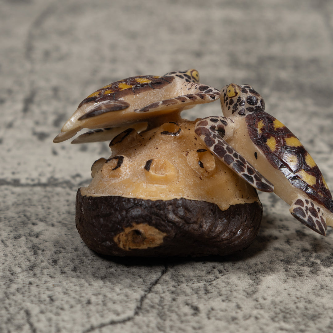 Double Sea Turtle Tagua Carving