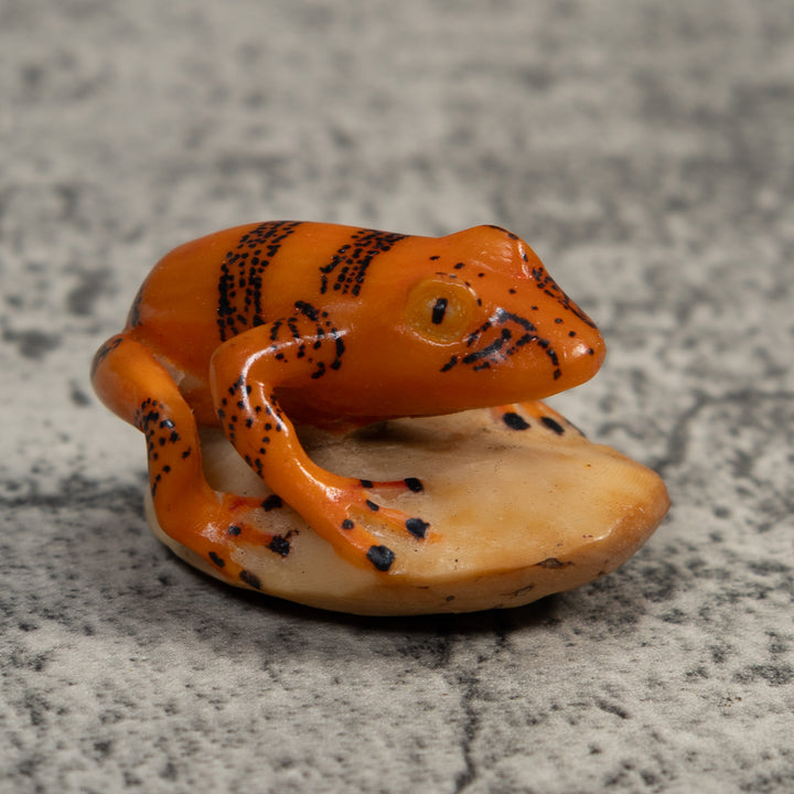 Vintage Gold And Black Poison Dart Frog Tagua Carving