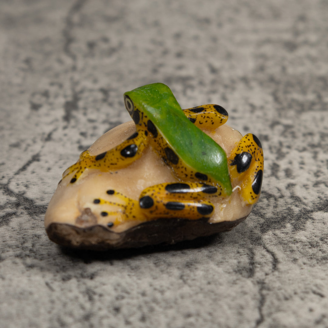 Poison Dart Frog Tagua Carving