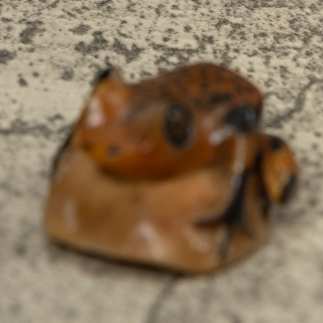 Vintage Poison Dart Frog Tagua Carving
