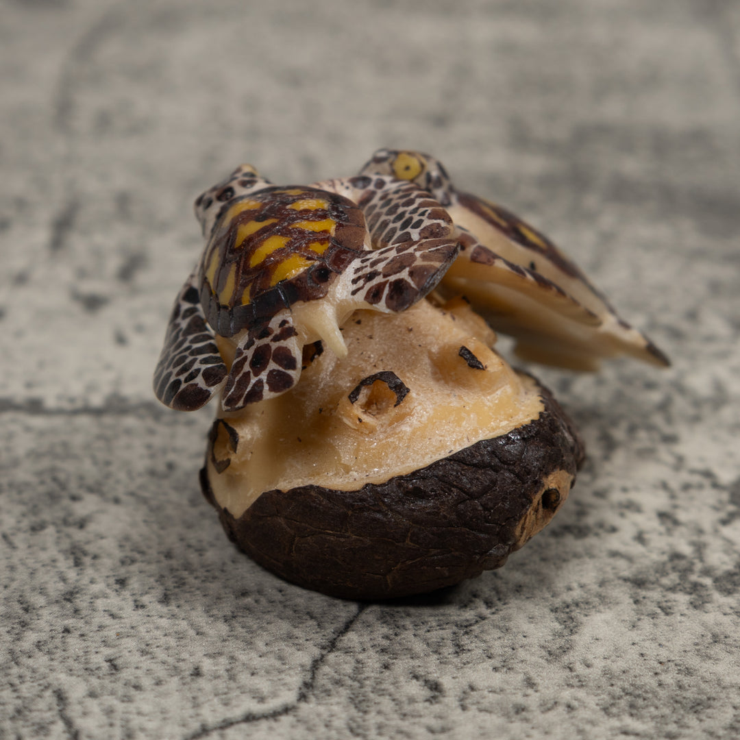 Double Sea Turtle Tagua Carving