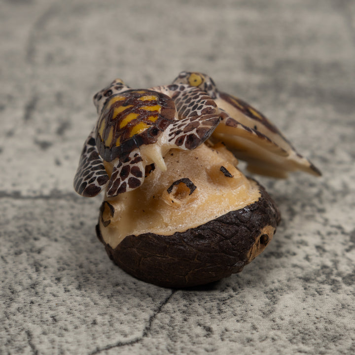 Double Sea Turtle Tagua Carving