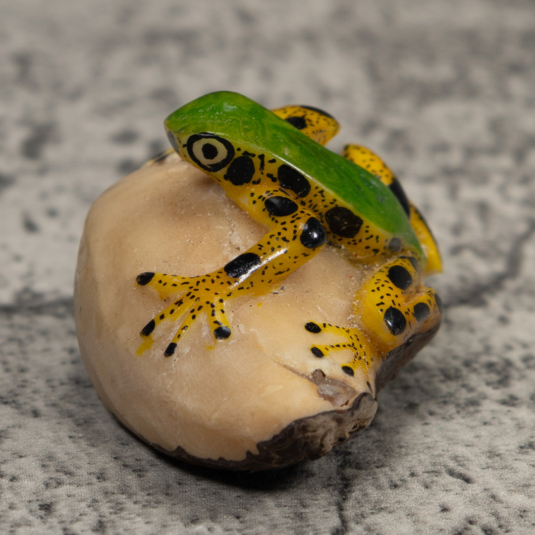 Poison Dart Frog Tagua Carving