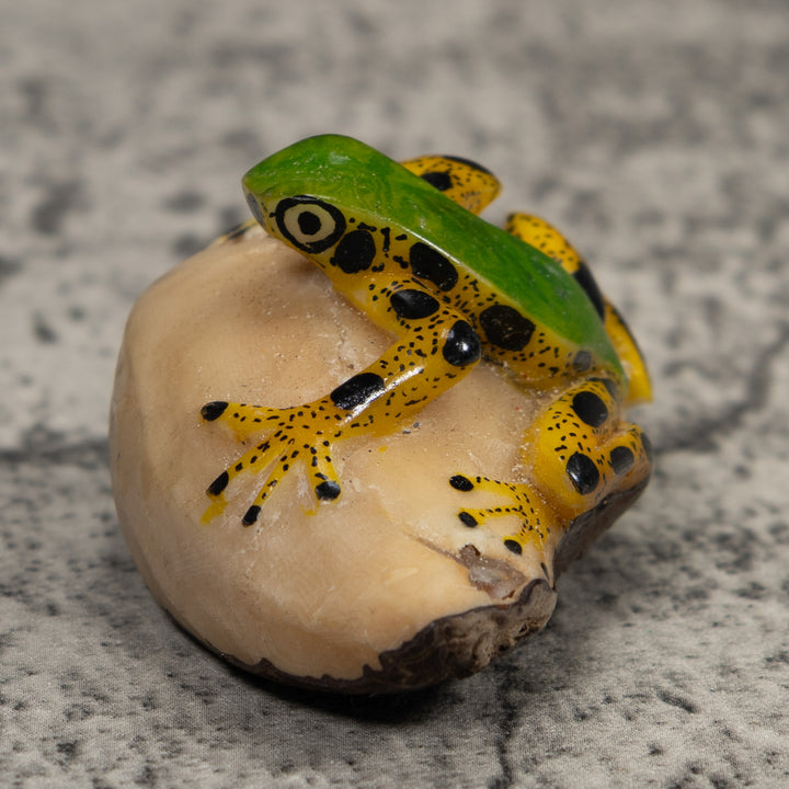 Poison Dart Frog Tagua Carving