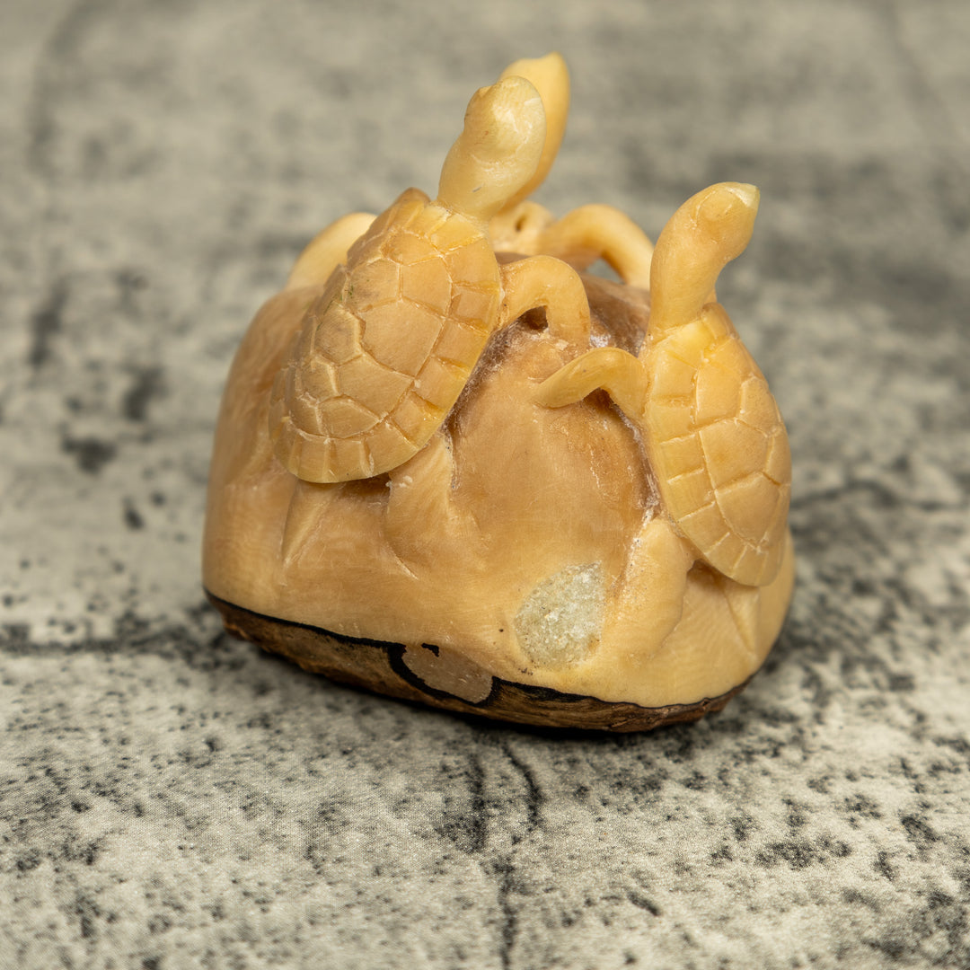 Natural White Triple Sea Turtle Tagua Carving