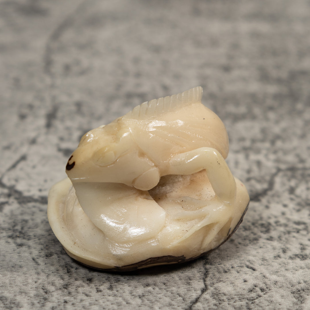 White Natural Iguana Lizard Tagua Carving