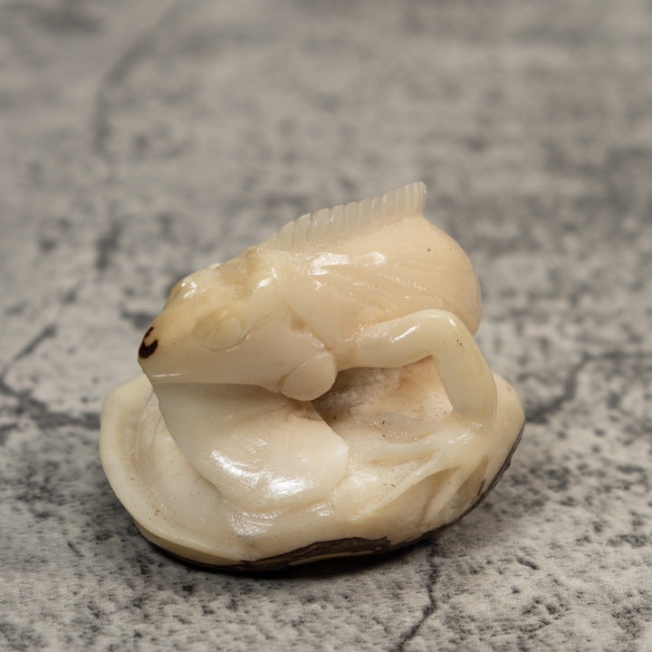 White Natural Iguana Lizard Tagua Carving