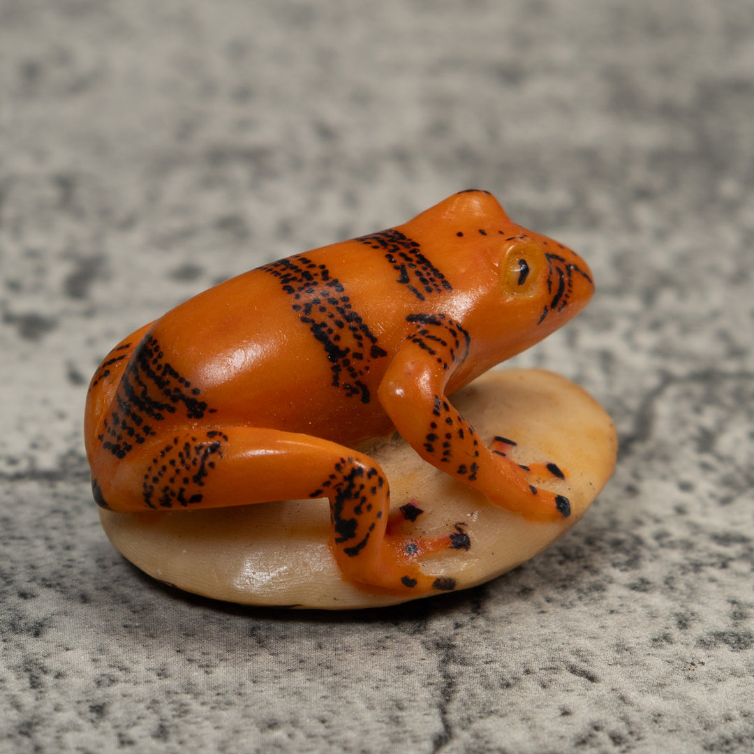 Vintage Gold And Black Poison Dart Frog Tagua Carving