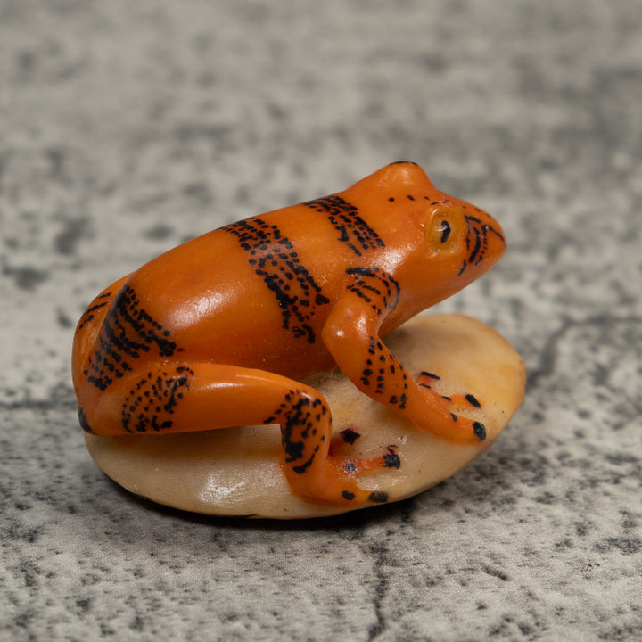 Vintage Gold And Black Poison Dart Frog Tagua Carving