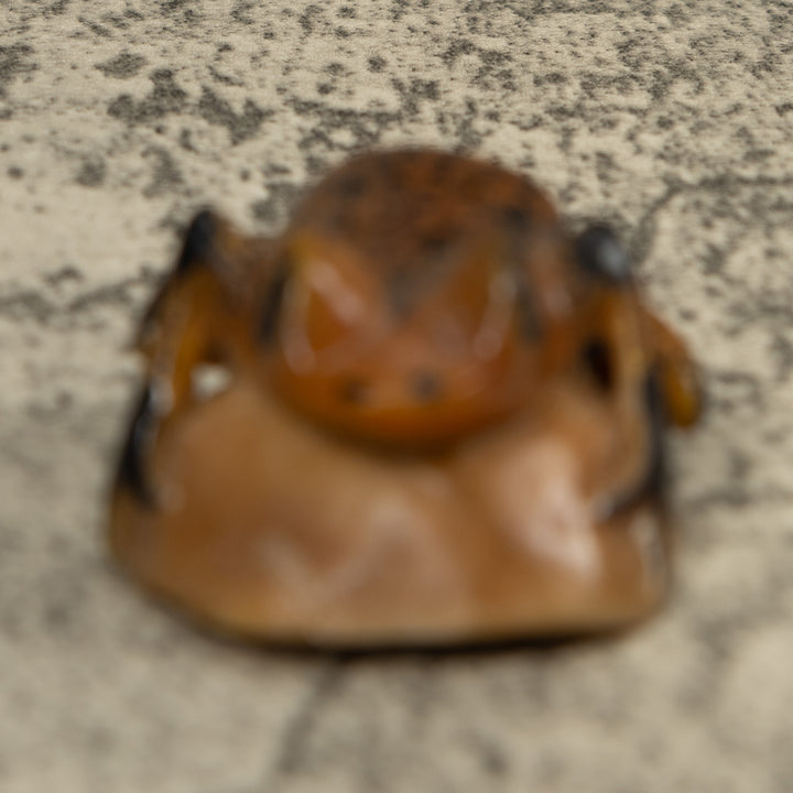 Vintage Poison Dart Frog Tagua Carving