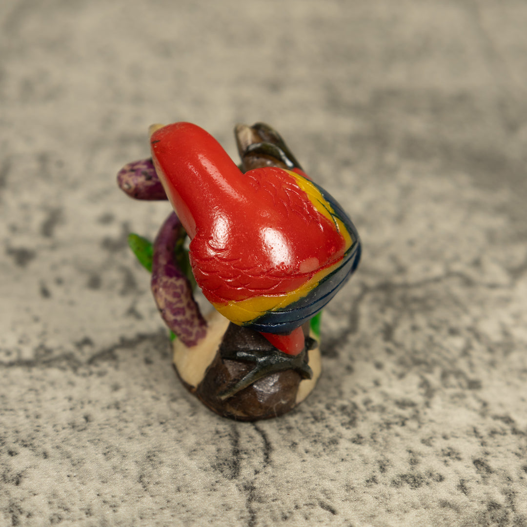 Red Blue And Yellow Macaw Parrot Tagua Carving