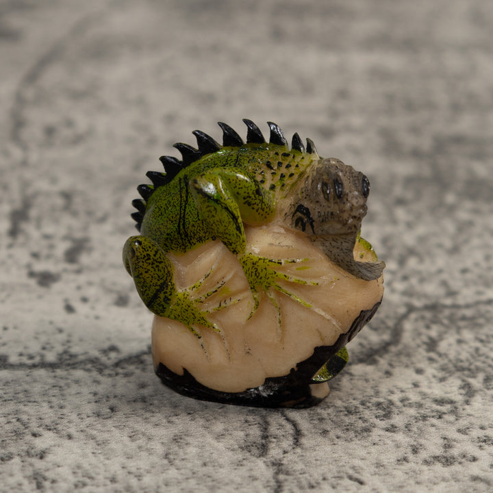 Green And Black Iguana Lizard Tagua Carving