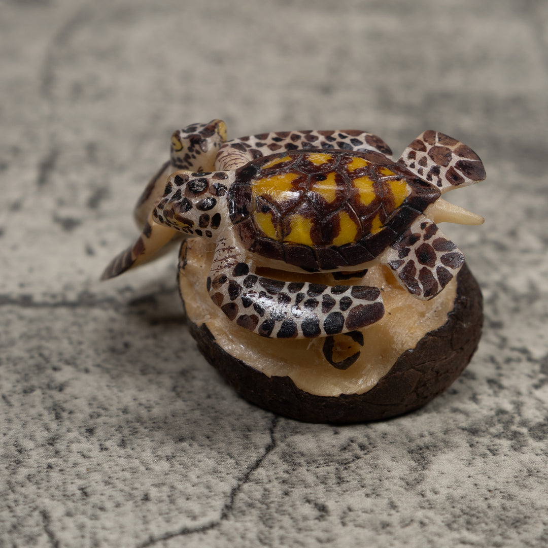 Double Sea Turtle Tagua Carving