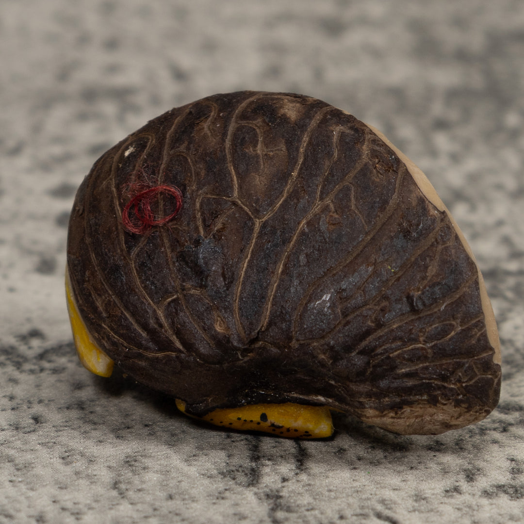 Poison Dart Frog Tagua Carving