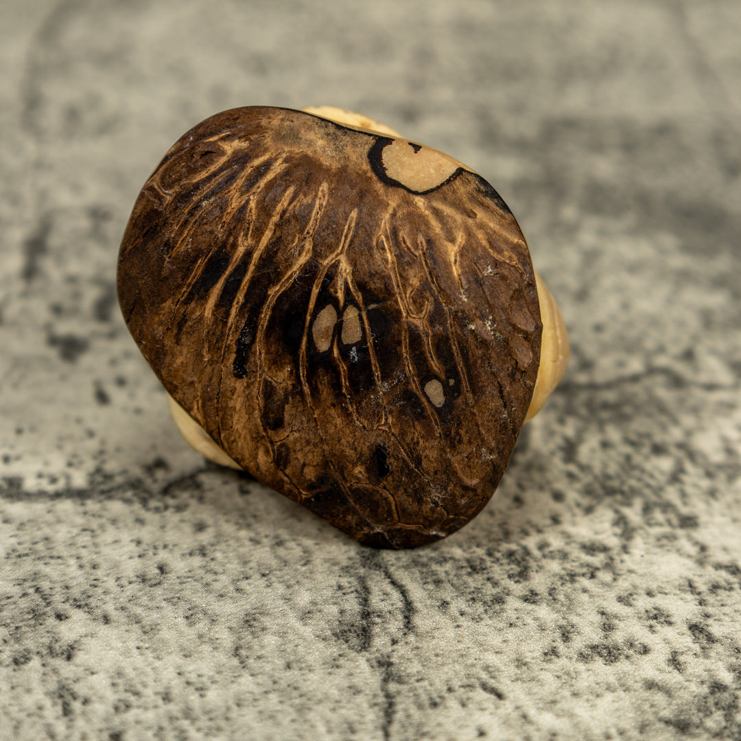 Natural White Triple Sea Turtle Tagua Carving