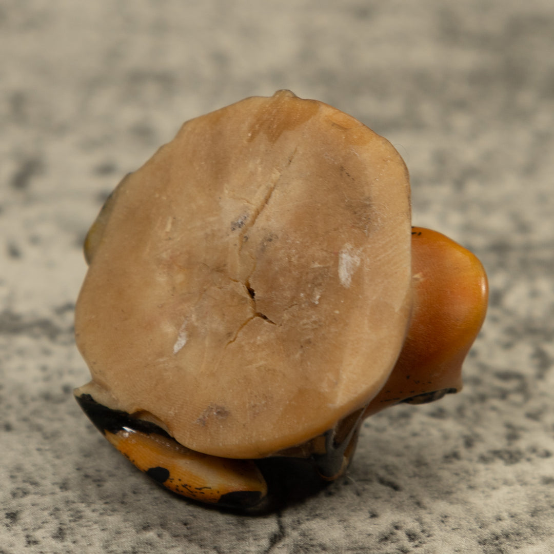 Vintage Poison Dart Frog Tagua Carving