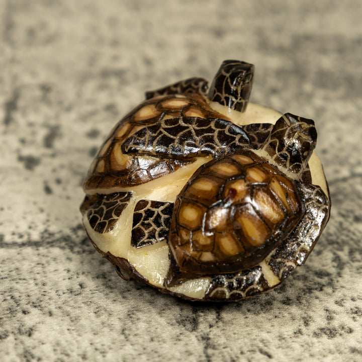 Double (2) Sea Turtle Tagua Carving