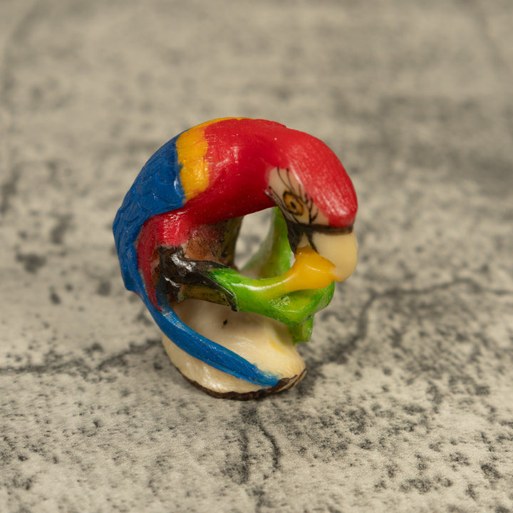Red Blue And Yellow Macaw Parrot Tagua Carving