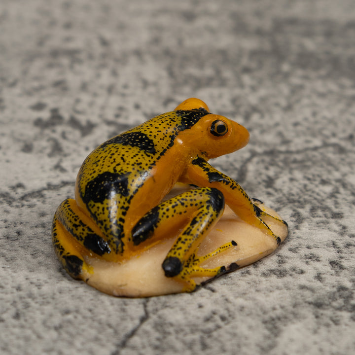Vintage Poison Dart Frog Tagua Carving
