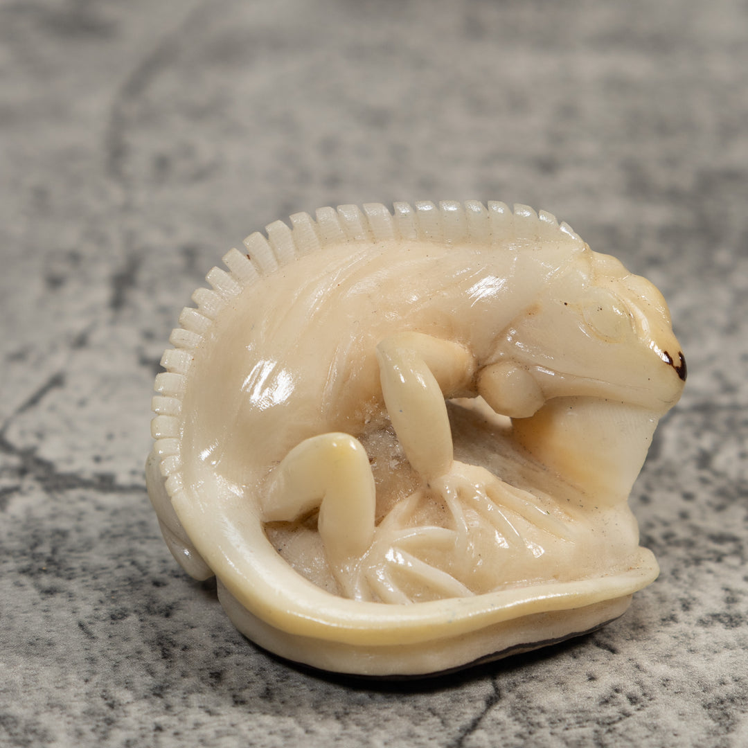 White Natural Iguana Lizard Tagua Carving