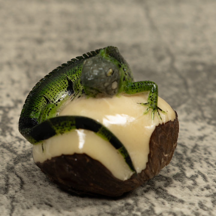Iguana Lizard Reptile Tagua Carving