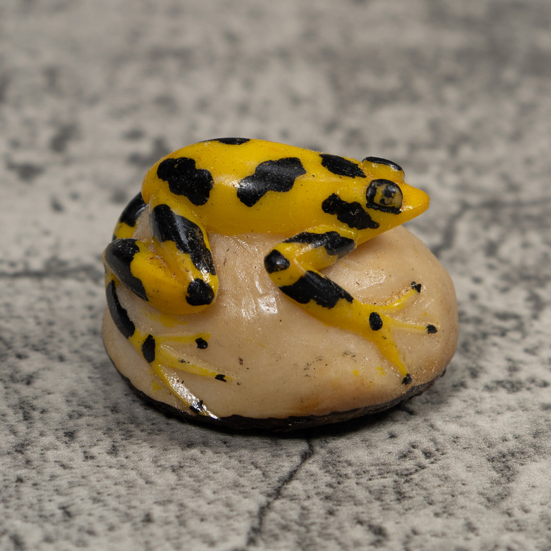 Vintage Poison Dart Frog Tagua Carving