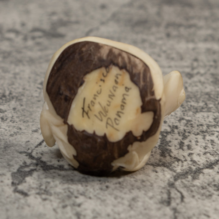 White Natural Iguana Lizard Tagua Carving