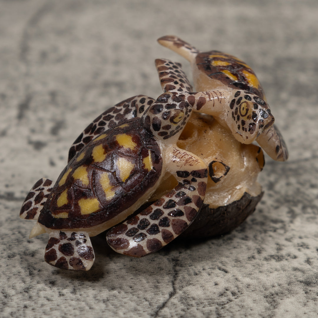 Double Sea Turtle Tagua Carving