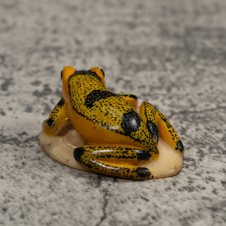 Vintage Poison Dart Frog Tagua Carving
