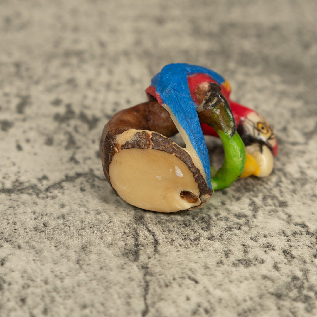 Red Blue And Yellow Macaw Parrot Tagua Carving