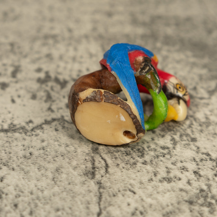 Red Blue And Yellow Macaw Parrot Tagua Carving