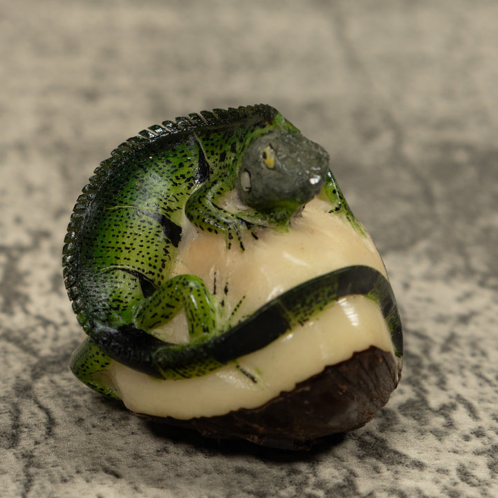 Iguana Lizard Reptile Tagua Carving