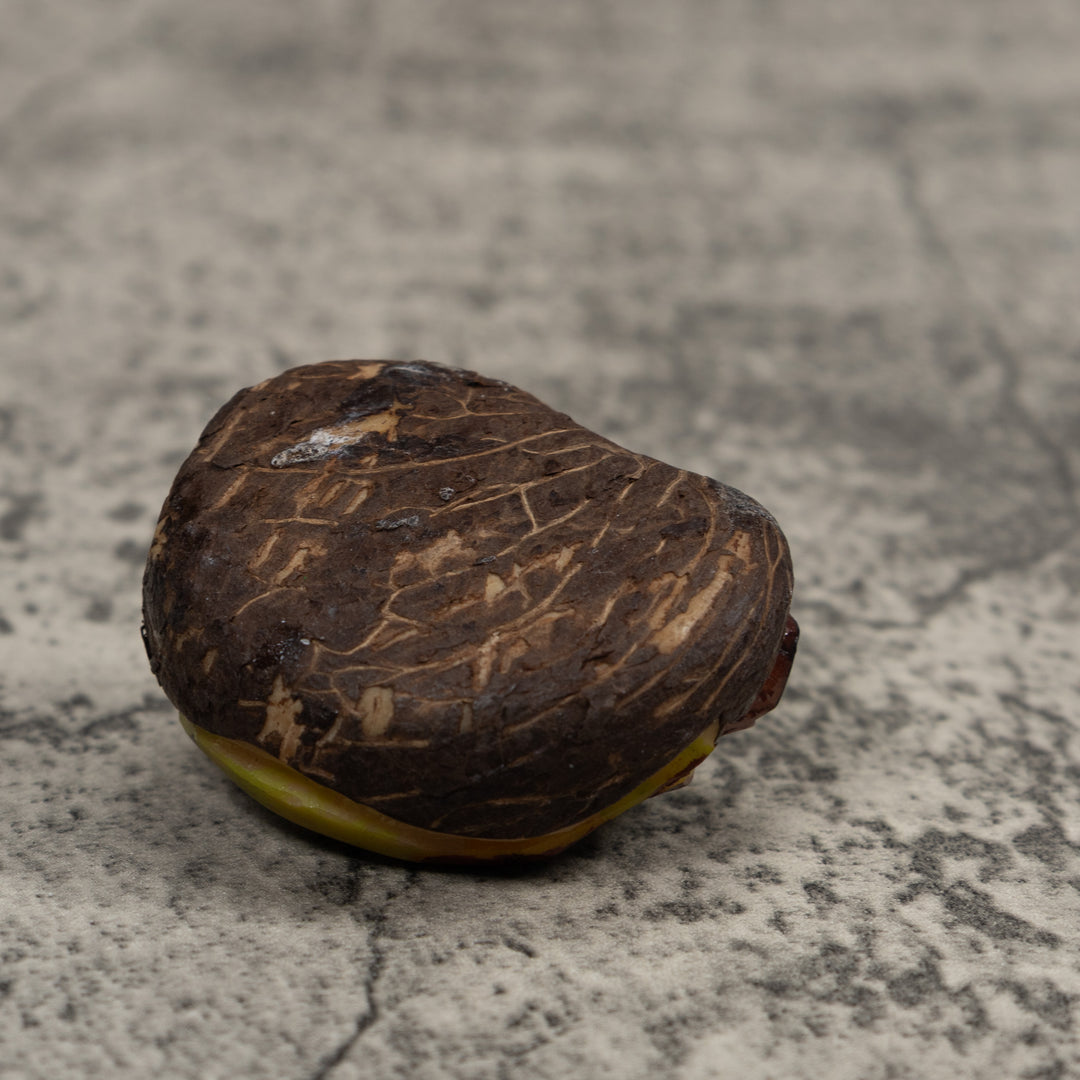 Green Frog Tagua Carving