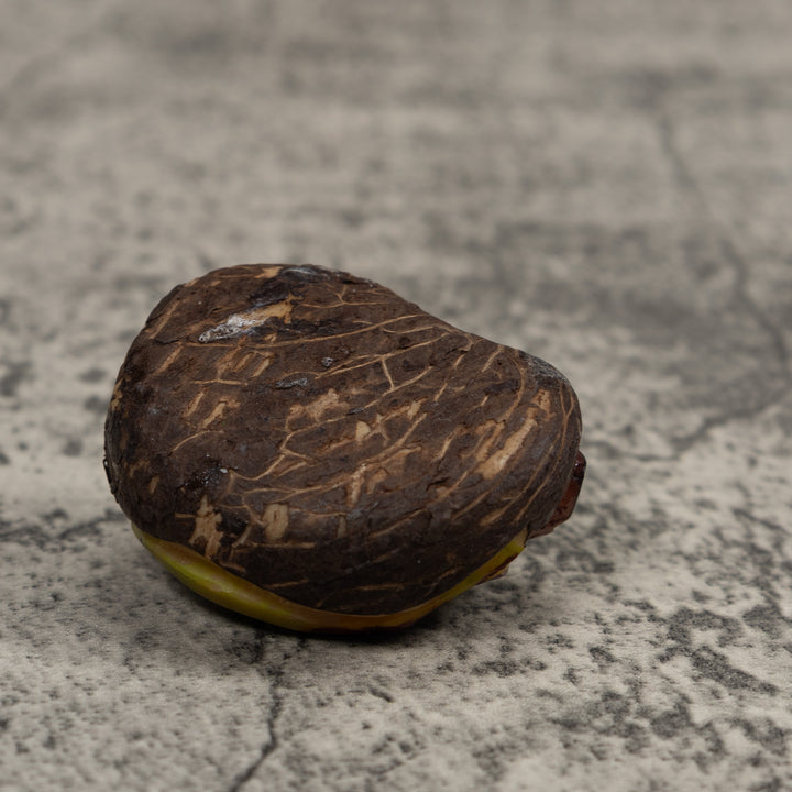 Green Frog Tagua Carving