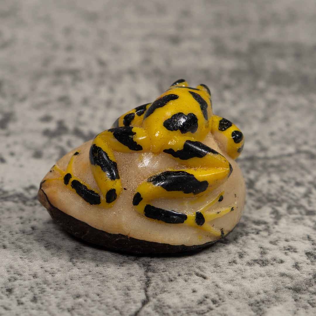 Vintage Poison Dart Frog Tagua Carving