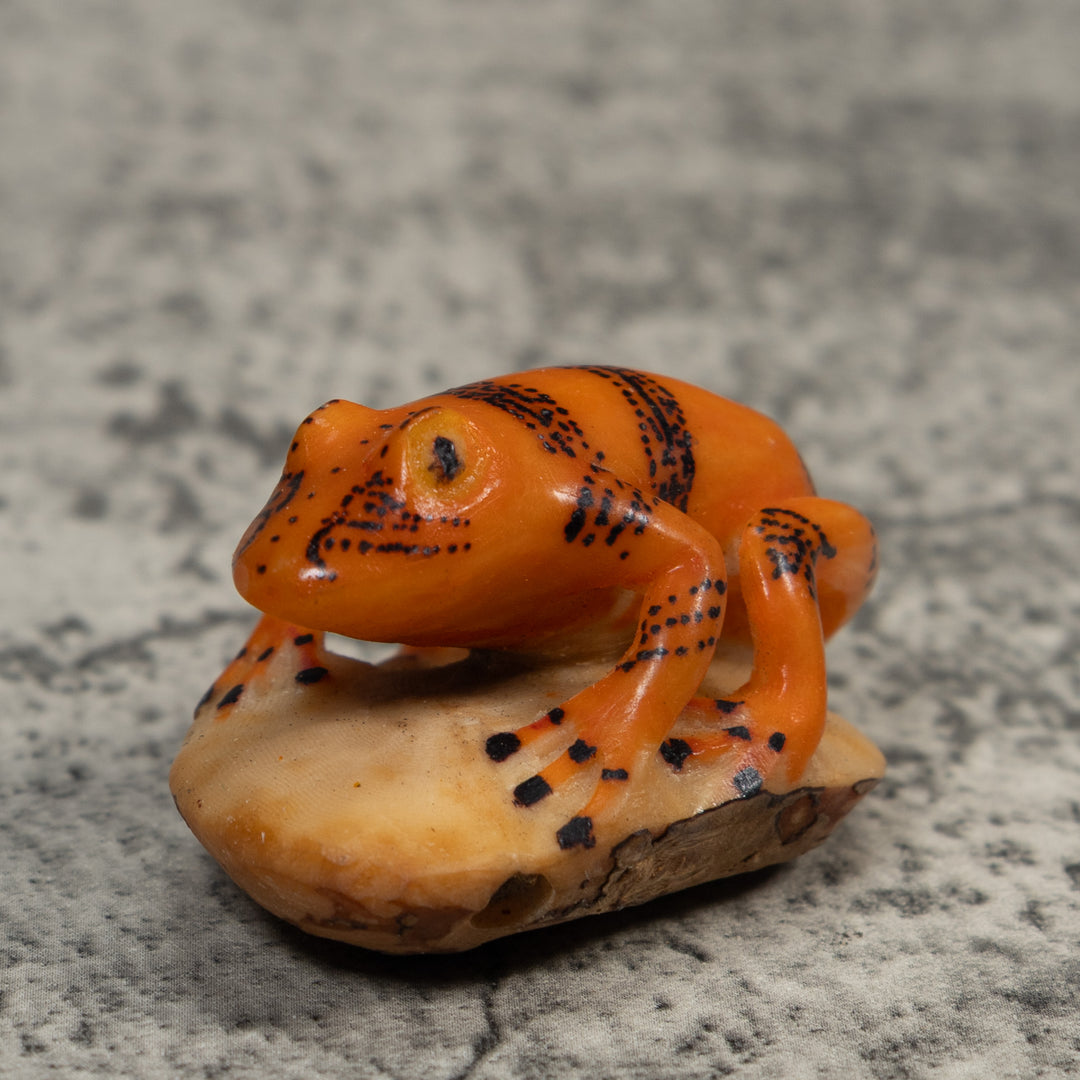 Vintage Gold And Black Poison Dart Frog Tagua Carving