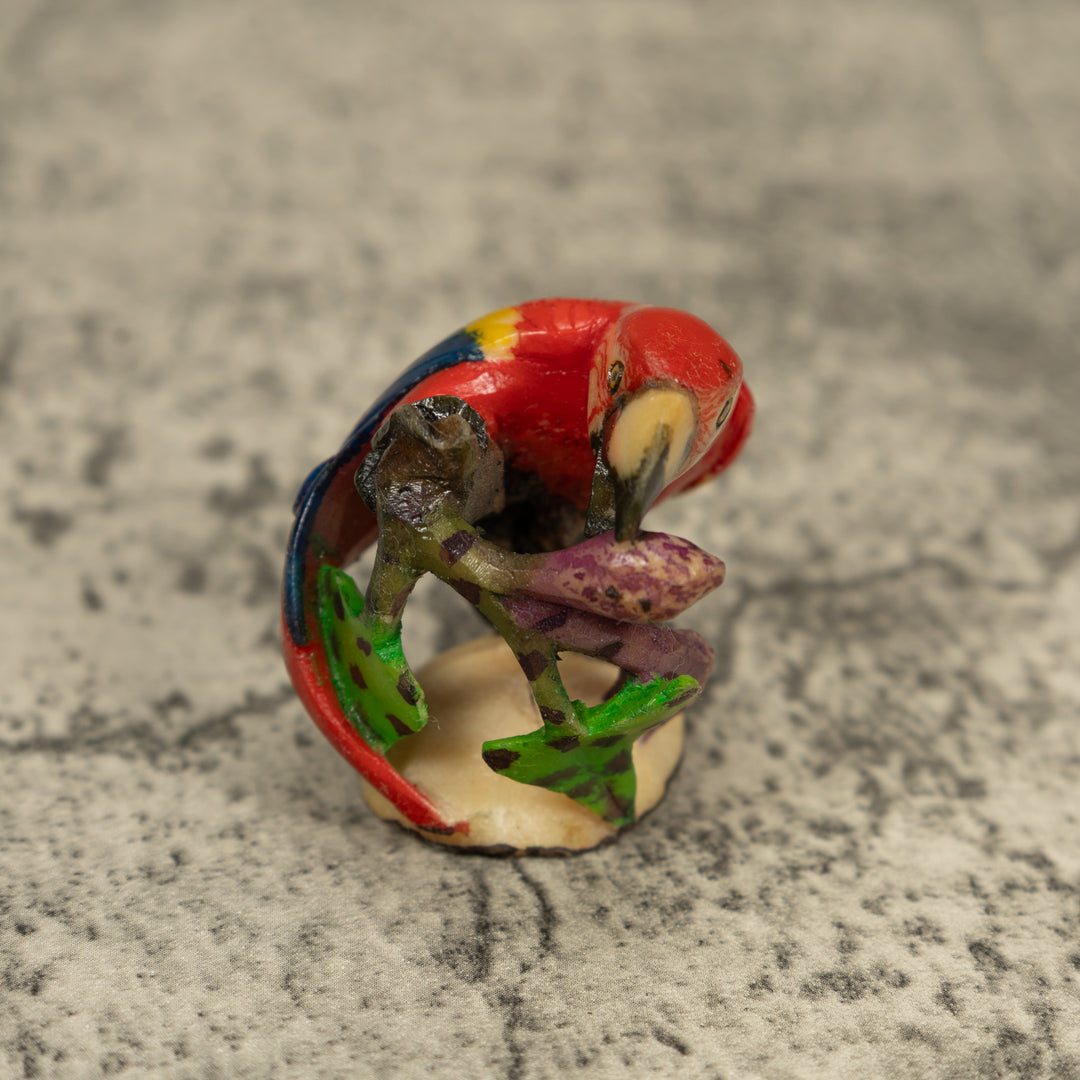 Red Blue And Yellow Macaw Parrot Tagua Carving
