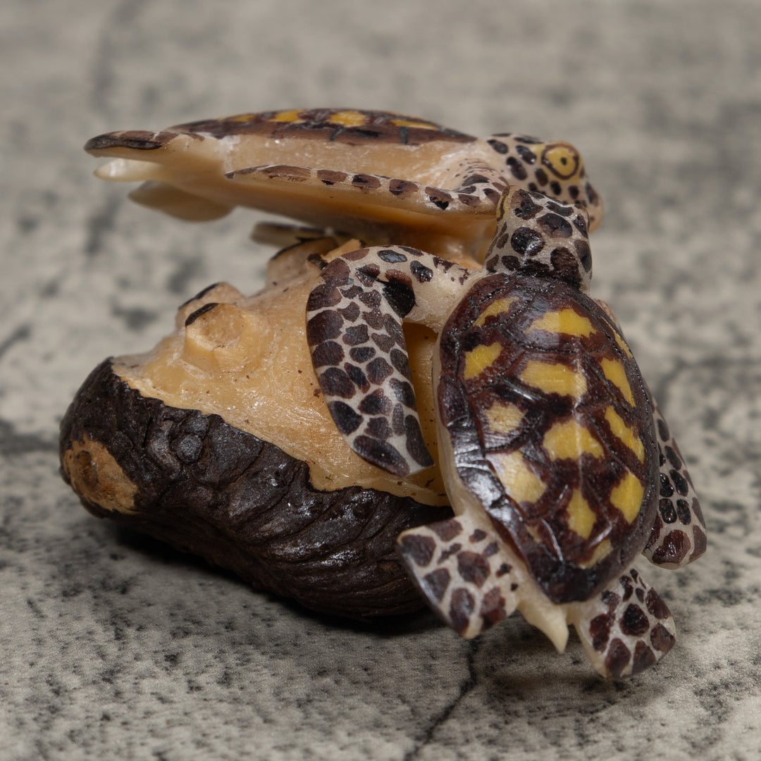 Double Sea Turtle Tagua Carving