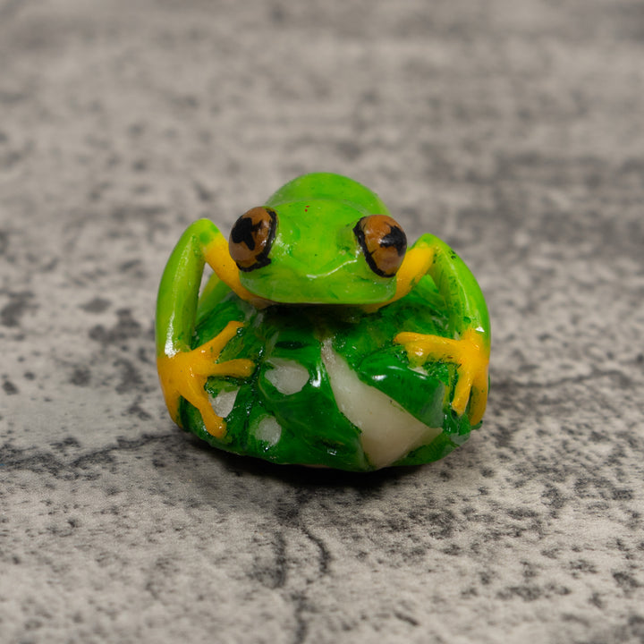 Red-Eye Tree Frog Tagua Carving
