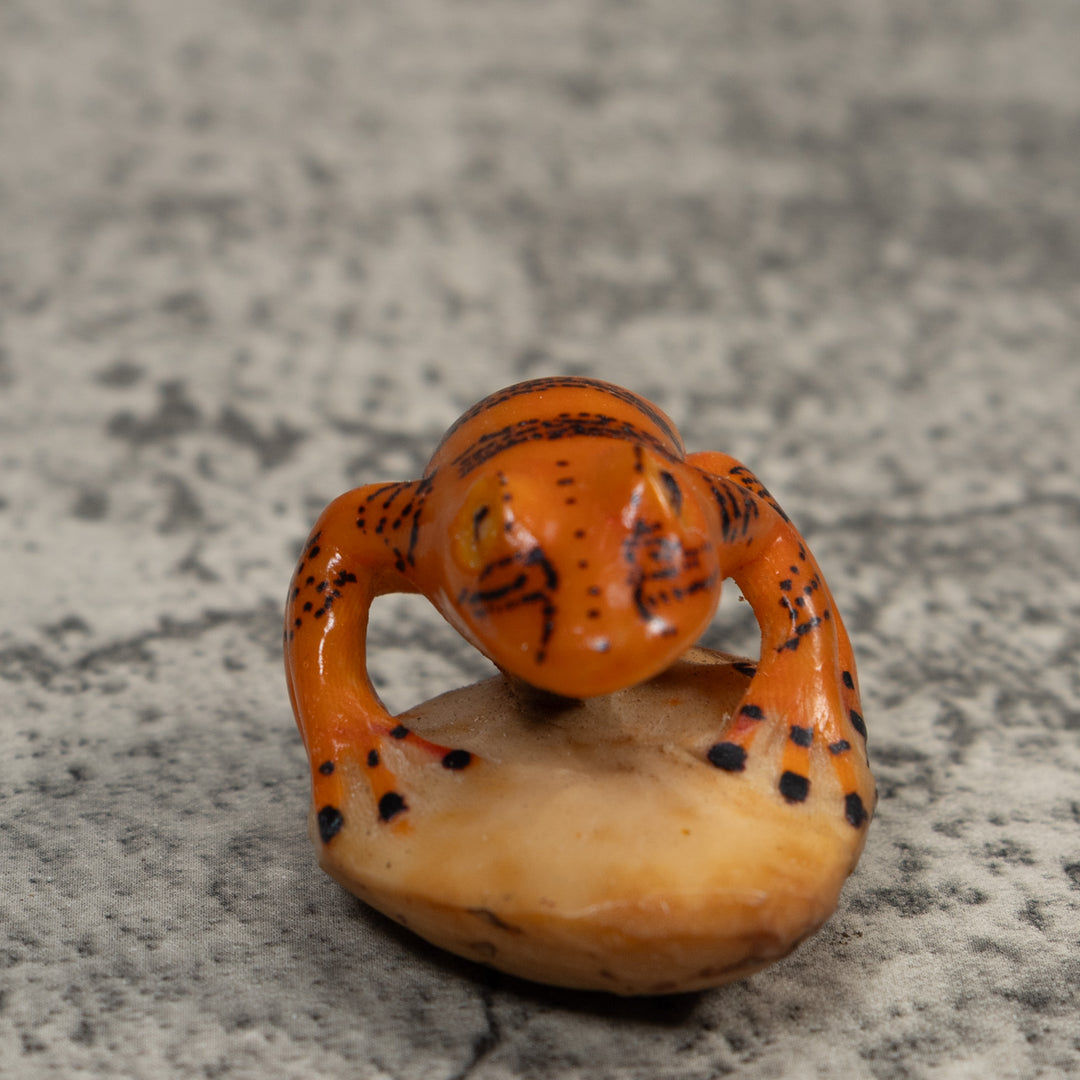 Vintage Gold And Black Poison Dart Frog Tagua Carving