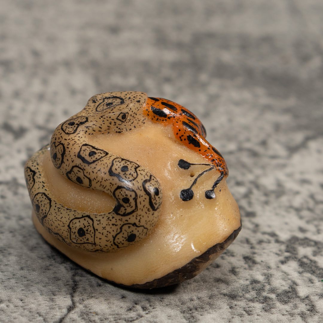 Orange And Black Snake Eating Frog Tagua Carving