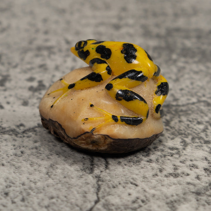 Vintage Poison Dart Frog Tagua Carving