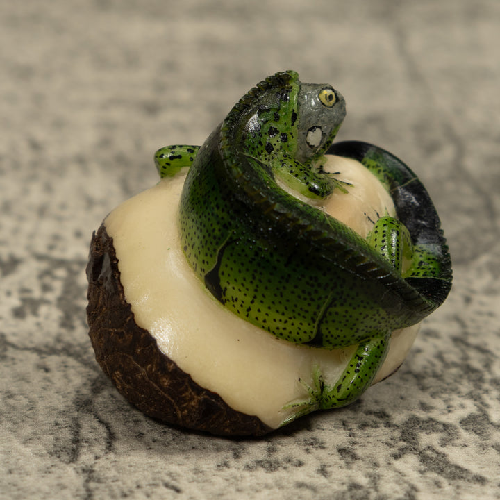 Iguana Lizard Reptile Tagua Carving
