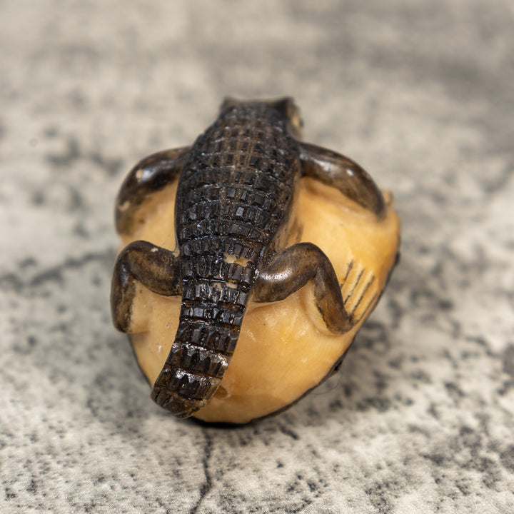Alligator Crocodile Caiman Tagua Carving
