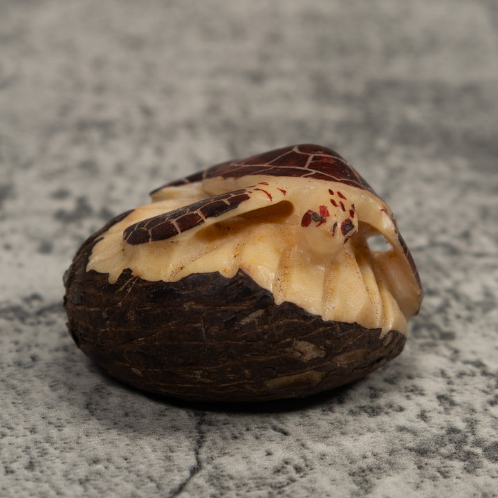 Sea Turtle Tagua Carving