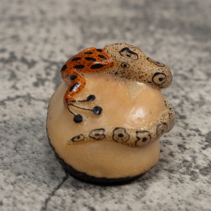 Orange And Black Snake Eating Frog Tagua Carving