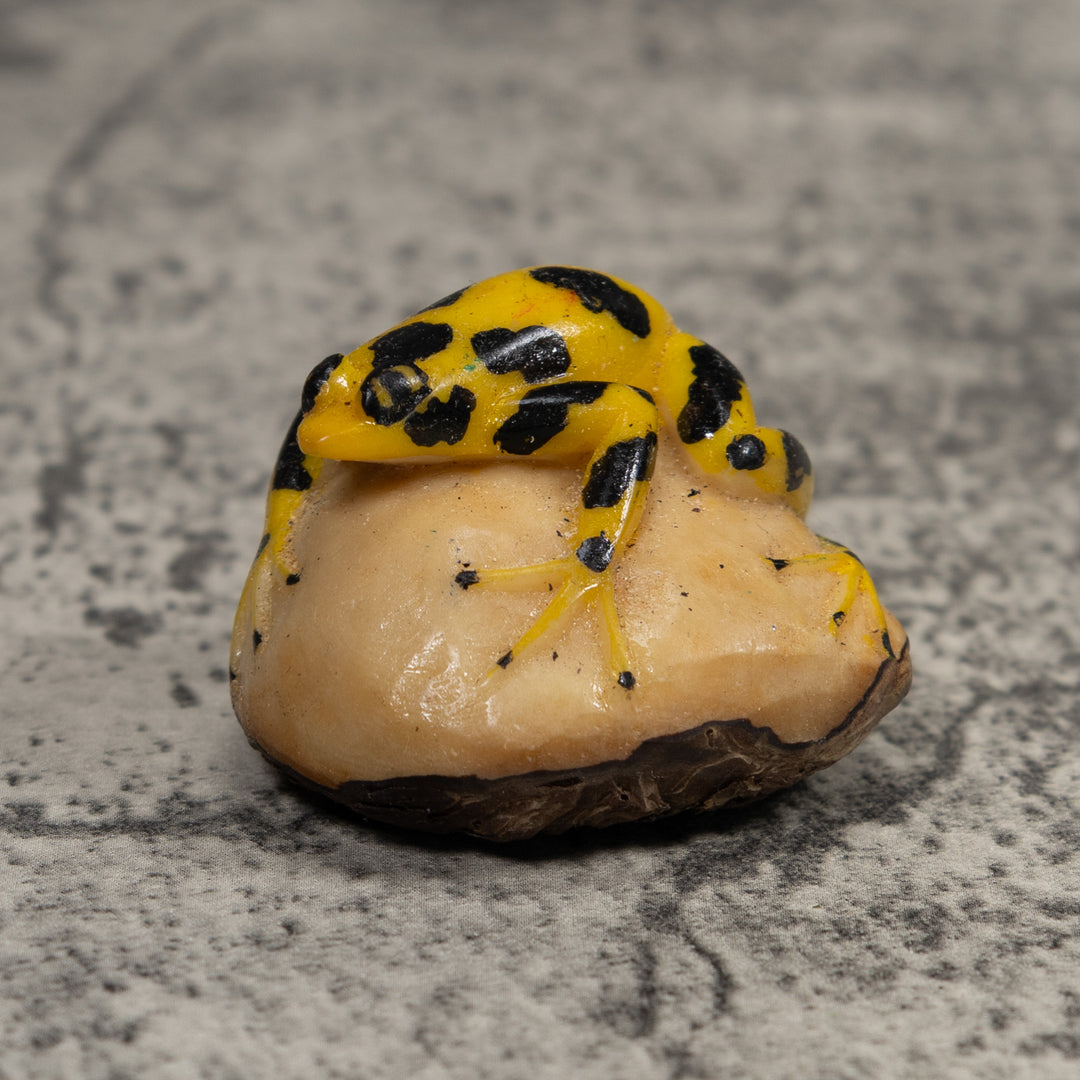 Vintage Poison Dart Frog Tagua Carving