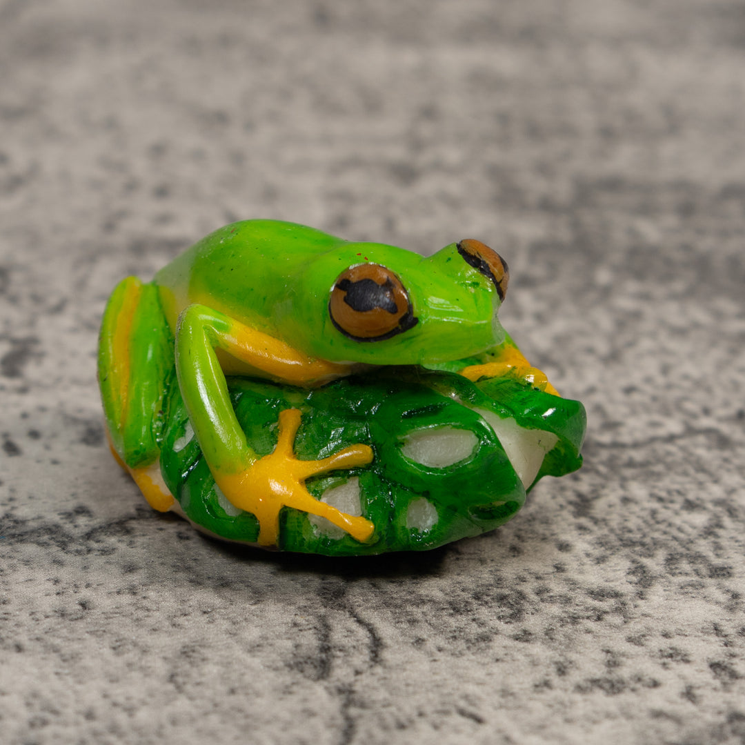 Red-Eye Tree Frog Tagua Carving