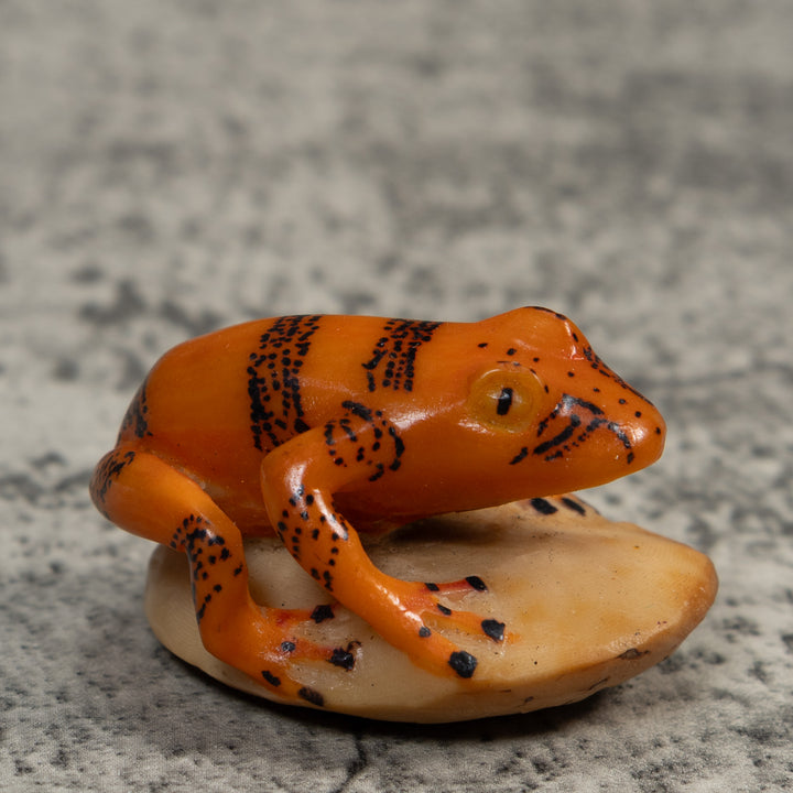 Vintage Gold And Black Poison Dart Frog Tagua Carving